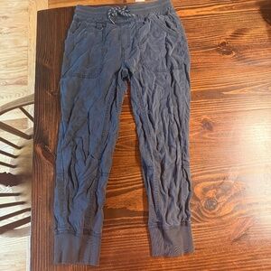 Anthropology x Pilcro Joggers